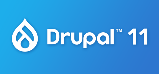 Drupal 11 Banner